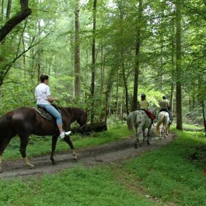 1-Hour Trail Ride