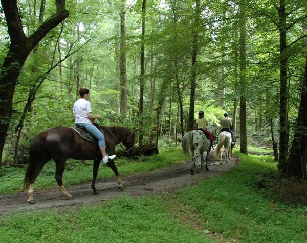 1-Hour Trail Ride